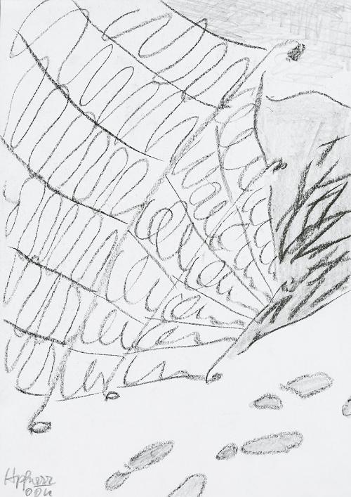 Kurt Hüpfner, Ohne Titel, 2004, Bleistift und Kohle auf Papier, 29,7 × 21 cm, Privatbesitz, Wie…