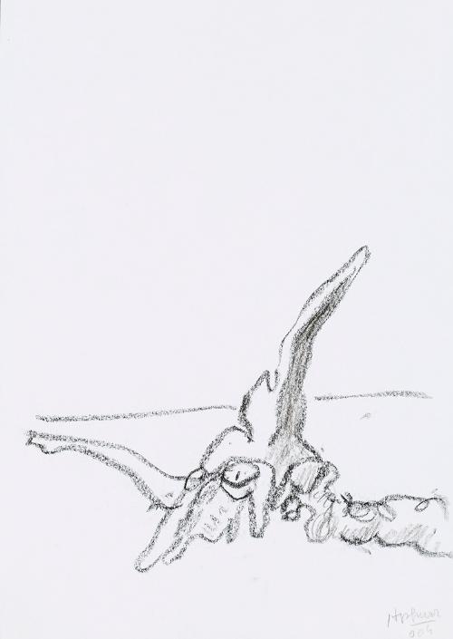 Kurt Hüpfner, Ohne Titel, 2004, Schwarze Kreide auf Papier, 29,7 × 21 cm, Privatbesitz, Wien