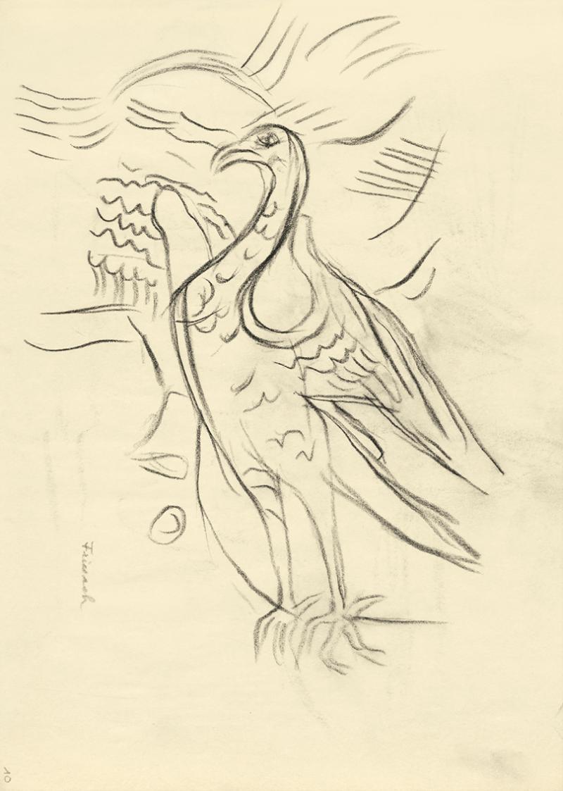 Alfred Wickenburg, Vogelstudie, 1950, Kohle auf Papier, 29,7 × 21 cm, Belvedere, Wien, Inv.-Nr. ...