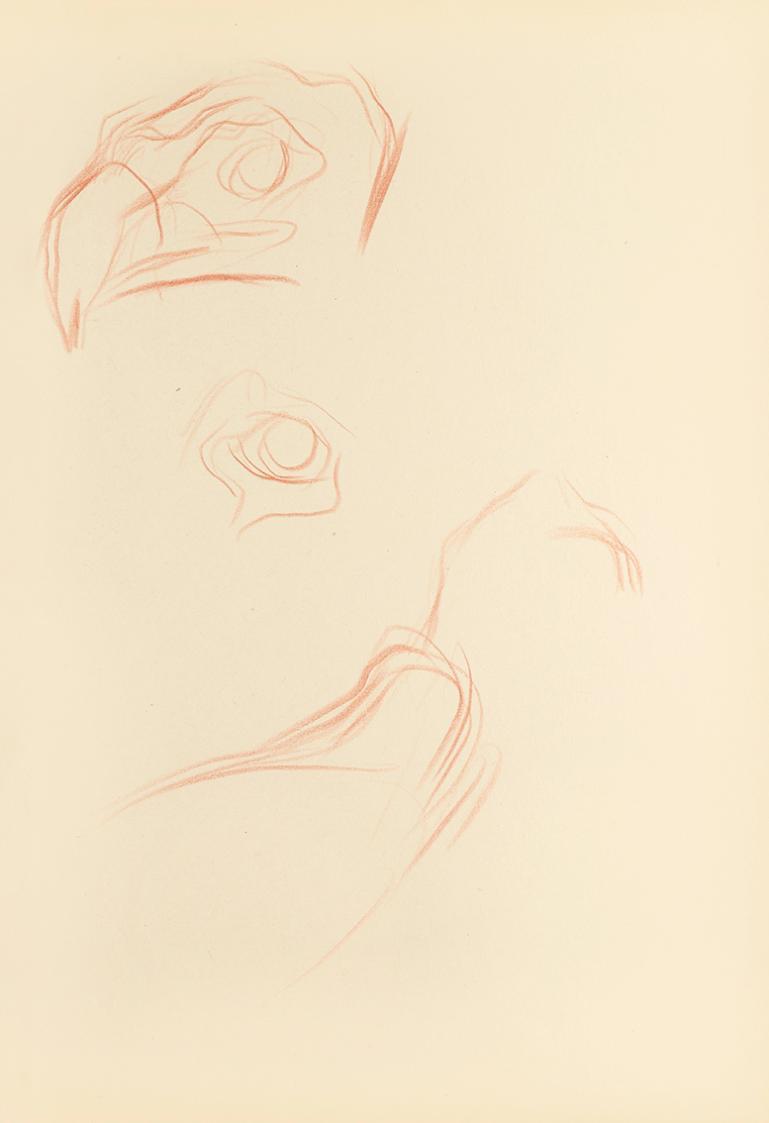 Alfred Wickenburg, Detailstudien zu einem Greifvogel, 1942, Rötel auf Papier, Blattmaße: 29,7 × ...