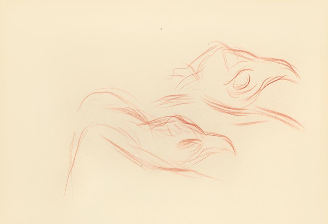 Alfred Wickenburg, Skizzen zu Greifvögeln, 1942, Rötel auf Papier, Blattmaße: 20,7 × 29,9 cm, L ...