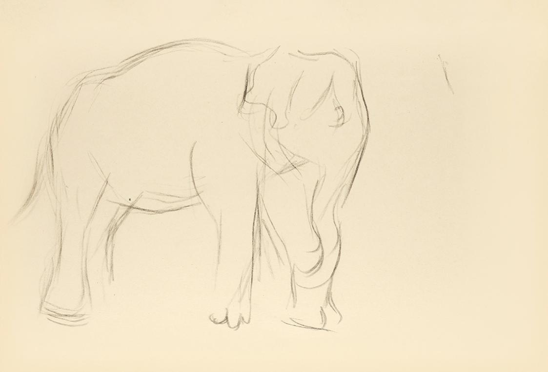 Alfred Wickenburg, Studie eines Elefantens, 1942, Bleistift auf Papier, Blattmaße: 20,7 × 29,9  ...