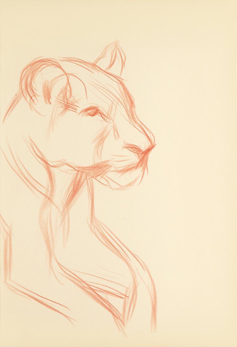 Alfred Wickenburg, Löwenweibchen im Profil, um 1945, Rötel auf Papier, Blattmaße: 29,8 × 20,5 c ...