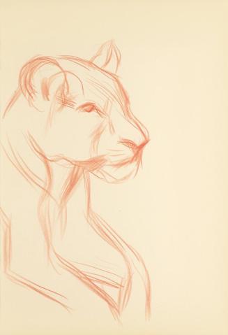 Alfred Wickenburg, Löwenweibchen im Profil, um 1945, Rötel auf Papier, Blattmaße: 29,8 × 20,5 c ...
