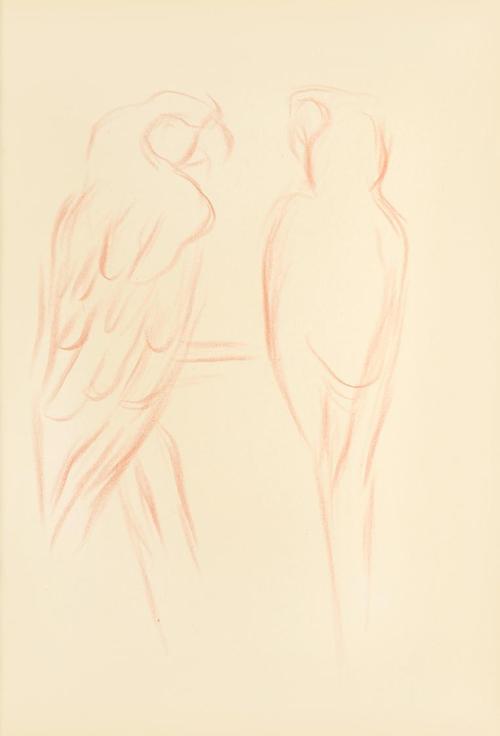 Alfred Wickenburg, Zwei Papageien, um 1945, Rötel auf Papier, Blattmaße: 29,8 × 20,5 cm, Leihga ...