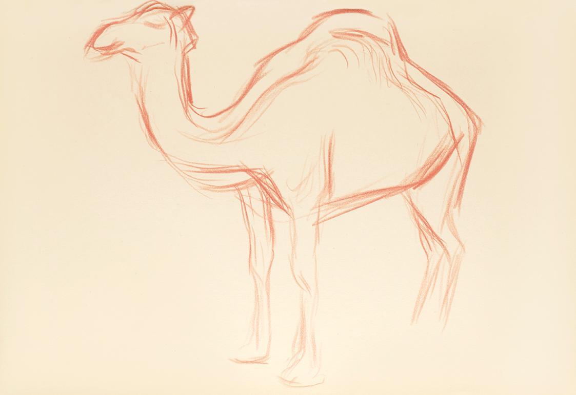 Alfred Wickenburg, Dromedar im Profil, um 1945, Rötel auf Papier, Blattmaße: 20,5 × 29,8 cm, Le ...