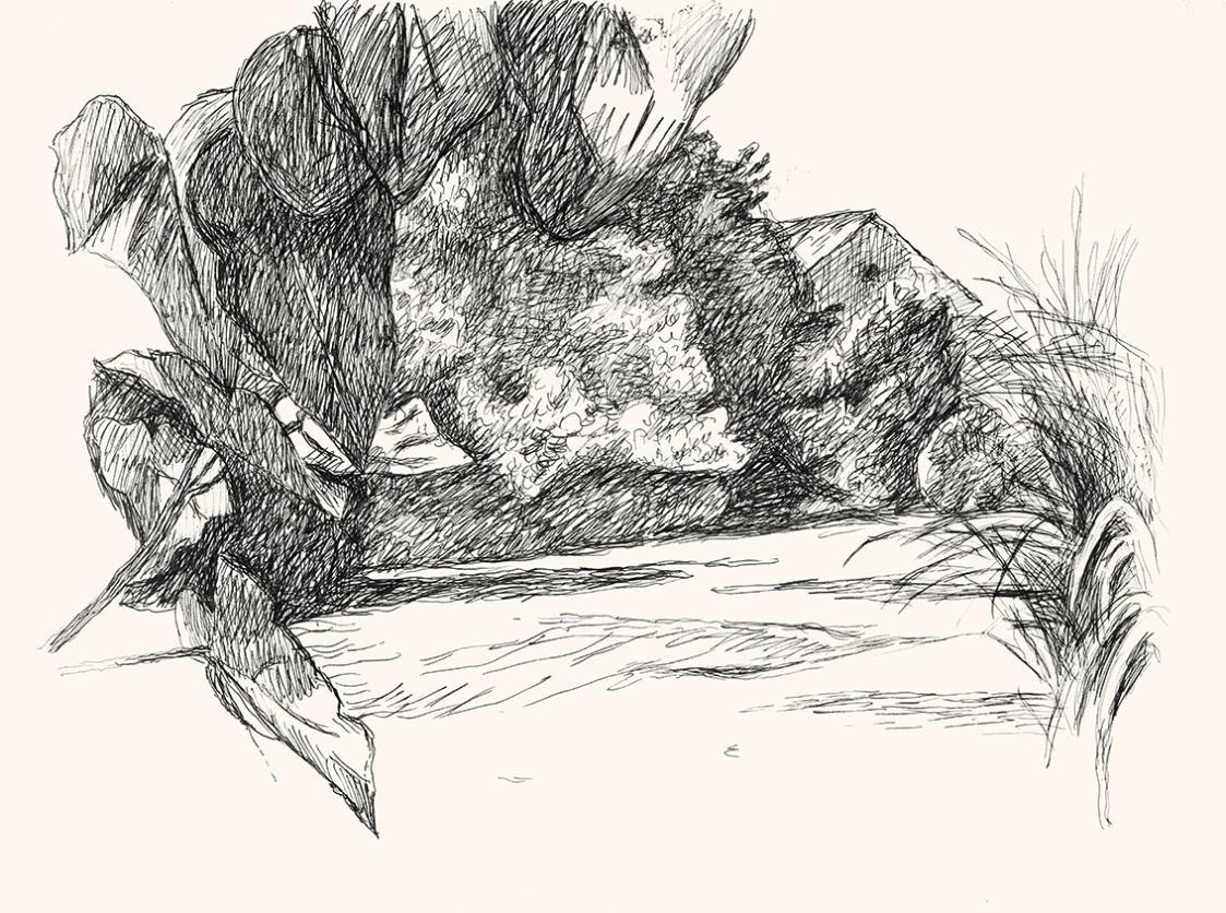 Alfred Wickenburg, Landschaft, um 1960, Schwarzer Faserschreiber auf Papier, 33,7 × 44,5 cm, Le ...