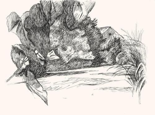 Alfred Wickenburg, Landschaft, um 1960, Schwarzer Faserschreiber auf Papier, 33,7 × 44,5 cm, Le ...