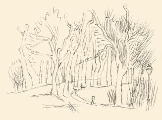 Alfred Wickenburg, Weg mit Laterene zwischen Bäumen, um 1953, Kohle auf Papier, Blattmaße: 21 × ...