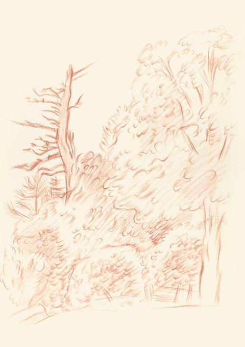 Alfred Wickenburg, Zaun vor einem Wald, um 1945, Rötel auf Papier, Blattmaße: 41,8 × 29,8 cm, L ...