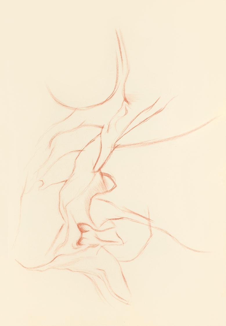 Alfred Wickenburg, Skizze eines Knochens, 1938, Rötel auf Transparentpapier, Blattmaße: 21 × 30 ...