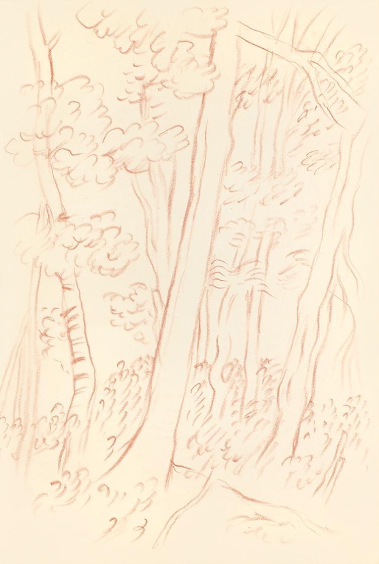 Alfred Wickenburg, Waldinneres, 1939, Rötel auf Transparentpapier, Blattmaße: 30 × 21 cm, Leihg ...