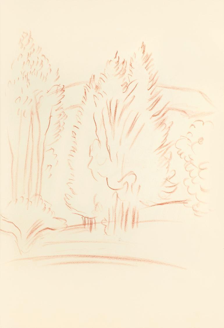 Alfred Wickenburg, Baumgruppe, 1939, Rötel auf Transparentpapier, Blattmaße: 30 × 21 cm, Leihga ...