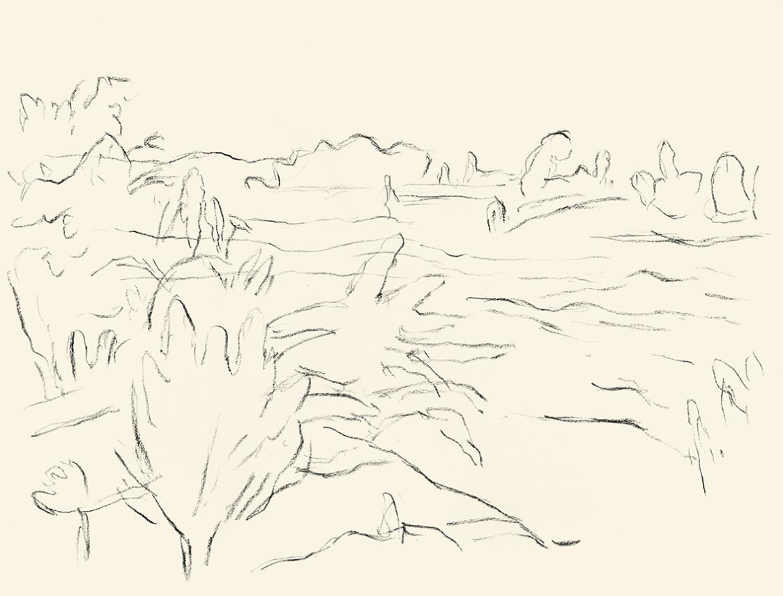 Alfred Wickenburg, Landschaft, um 1955, Kohle auf Papier, Blattmaße: 24 × 32 cm, Leihgabe aus P ...