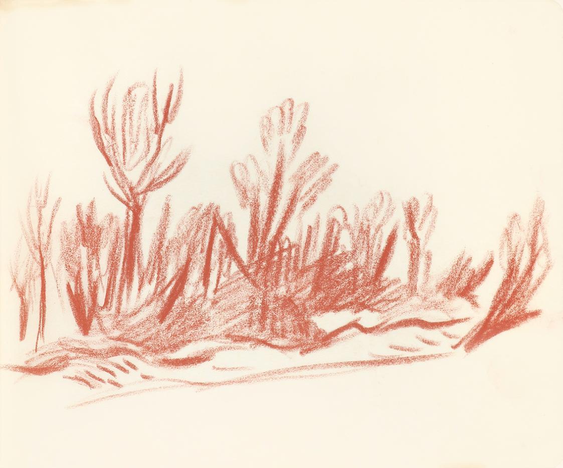 Alfred Wickenburg, Baumgruppe, 1939, Rötel auf Transparentpapier, Blattmaße: 17,9 × 22,9 cm, Le ...