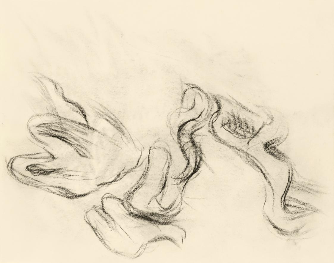 Alfred Wickenburg, Studie zu geschwungenen Blättern, 1950, Kohle auf Papier, Blattmaße: 15 × 19 ...