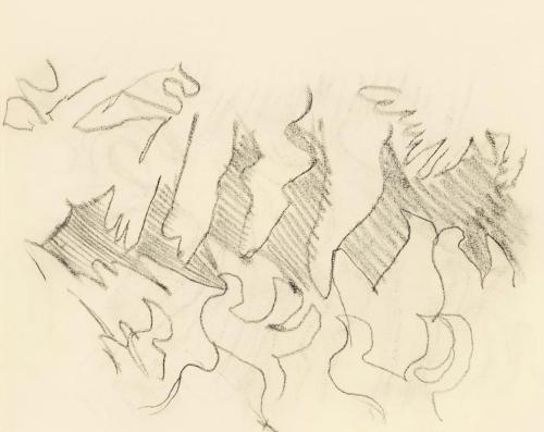 Alfred Wickenburg, Studie zu den Flächen geschwungener Blätter, 1950, Kohle auf Papier, Blattma ...