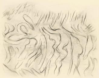 Alfred Wickenburg, Studie zu den Konturen geschwungener Blätter, 1950, Kohle auf Papier, Blattm ...