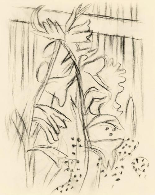 Alfred Wickenburg, Gladiolen vor gestreiftem Hintergrund, 1950, Kohle auf Papier, Blattmaße: 19 ...
