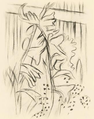 Alfred Wickenburg, Gladiolen vor gestreiftem Hintergrund, 1950, Kohle auf Papier, Blattmaße: 19 ...