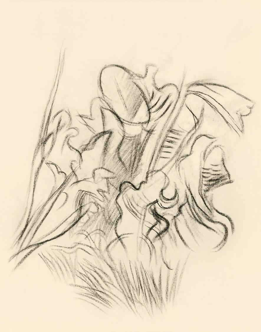Alfred Wickenburg, Pflanzenstudie, 1950, Kohle auf Papier, Blattmaße: 19,1 × 15 cm, Leihgabe au ...