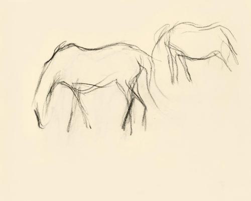 Alfred Wickenburg, Pferdestudie, 1950, Kohle auf Papier, Blattmaße: 15 × 19,1 cm, Leihgabe aus  ...