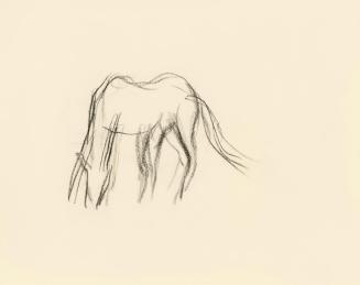 Alfred Wickenburg, Pferdestudie, 1950, Kohle auf Papier, Blattmaße: 15 × 19,1 cm, Leihgabe aus  ...