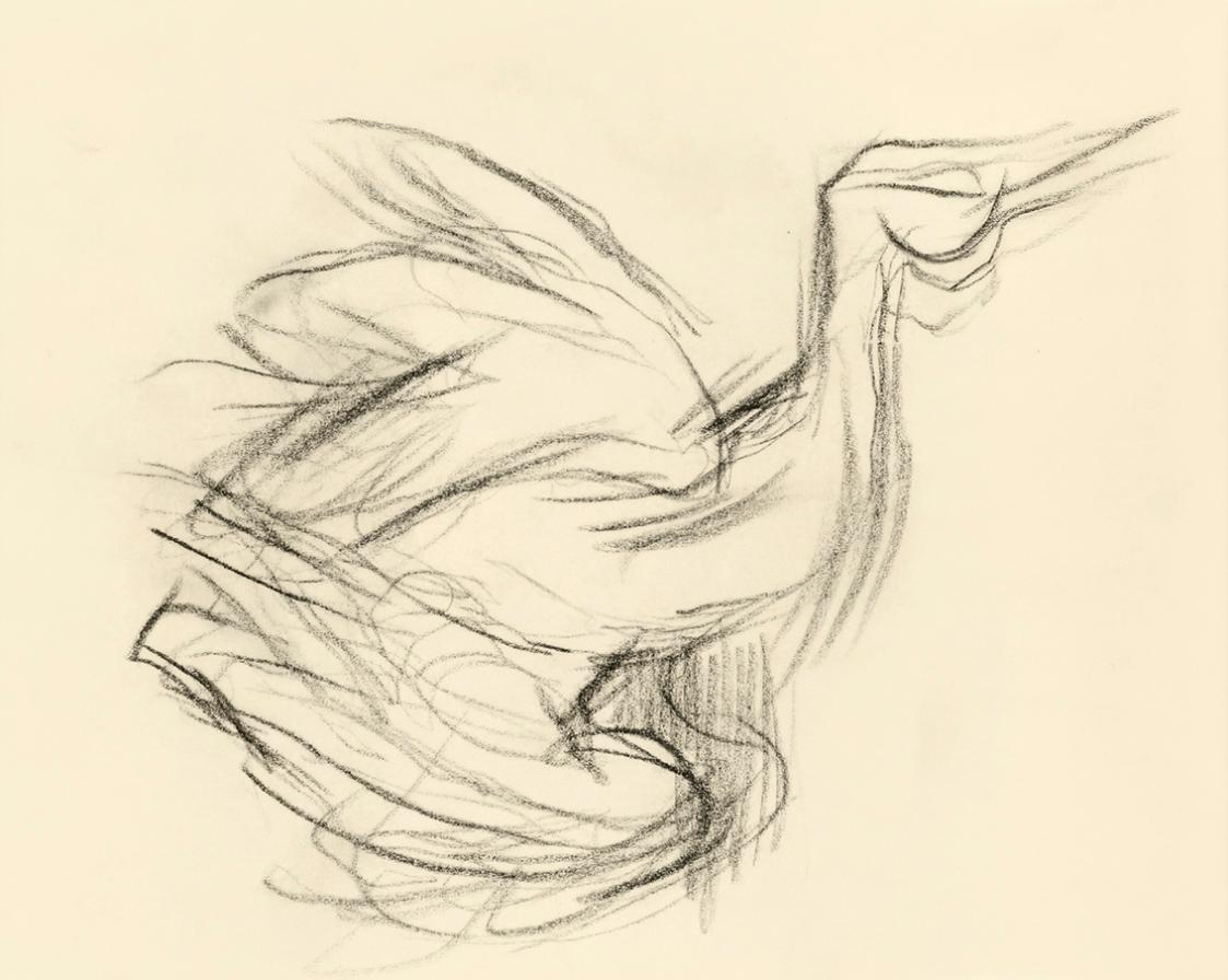 Alfred Wickenburg, Vogelstudie, 1950, Kohle auf Papier, Blattmaße: 15 × 19,1 cm, Leihgabe aus P ...