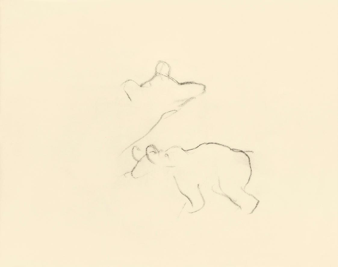 Alfred Wickenburg, Unvollendete Studie zu einem Bär, 1950, Kohle auf Papier, Blattmaße: 15 × 19 ...
