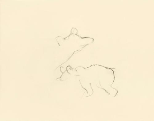 Alfred Wickenburg, Unvollendete Studie zu einem Bär, 1950, Kohle auf Papier, Blattmaße: 15 × 19 ...