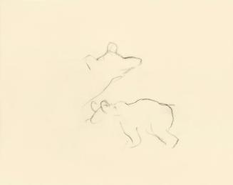 Alfred Wickenburg, Unvollendete Studie zu einem Bär, 1950, Kohle auf Papier, Blattmaße: 15 × 19 ...