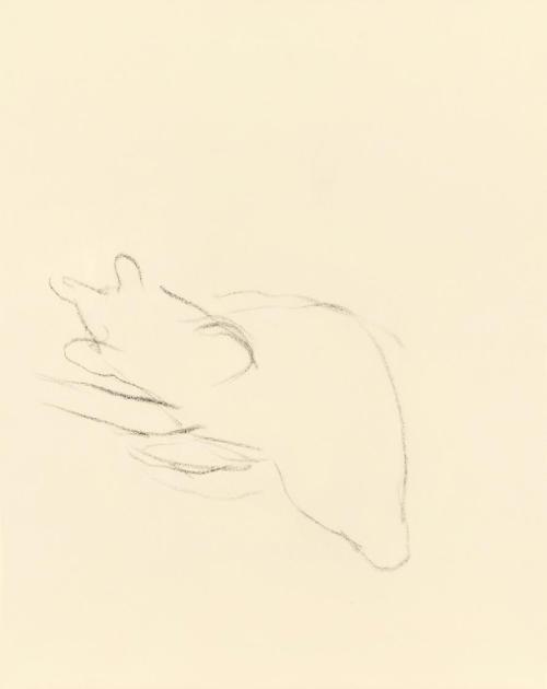 Alfred Wickenburg, Formstudie zu einem Bär, 1950, Kohle auf Papier, Blattmaße: 19,1 × 15 cm, Le ...