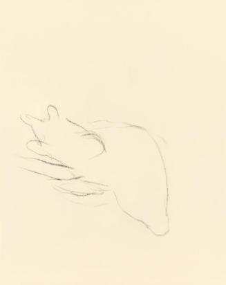 Alfred Wickenburg, Formstudie zu einem Bär, 1950, Kohle auf Papier, Blattmaße: 19,1 × 15 cm, Le ...
