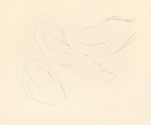 Alfred Wickenburg, Studien zu einem Schwan, 1938, Bleistift auf Papier, Blattmaße: 19 × 23 cm,  ...