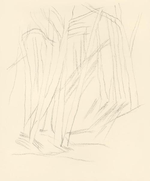 Alfred Wickenburg, Waldweg, 1938, Bleistift auf Papier, Blattmaße: 23 × 19 cm, Leihgabe aus Pri ...