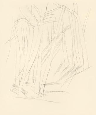 Alfred Wickenburg, Waldweg, 1938, Bleistift auf Papier, Blattmaße: 23 × 19 cm, Leihgabe aus Pri ...