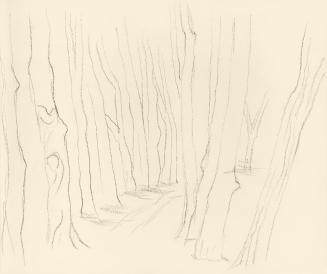 Alfred Wickenburg, Waldweg, 1938, Bleistift auf Papier, Blattmaße: 19 × 23 cm, Leihgabe aus Pri ...