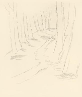 Alfred Wickenburg, Waldweg, 1938, Bleistift auf Papier, Blattmaße: 23 × 19 cm, Leihgabe aus Pri ...