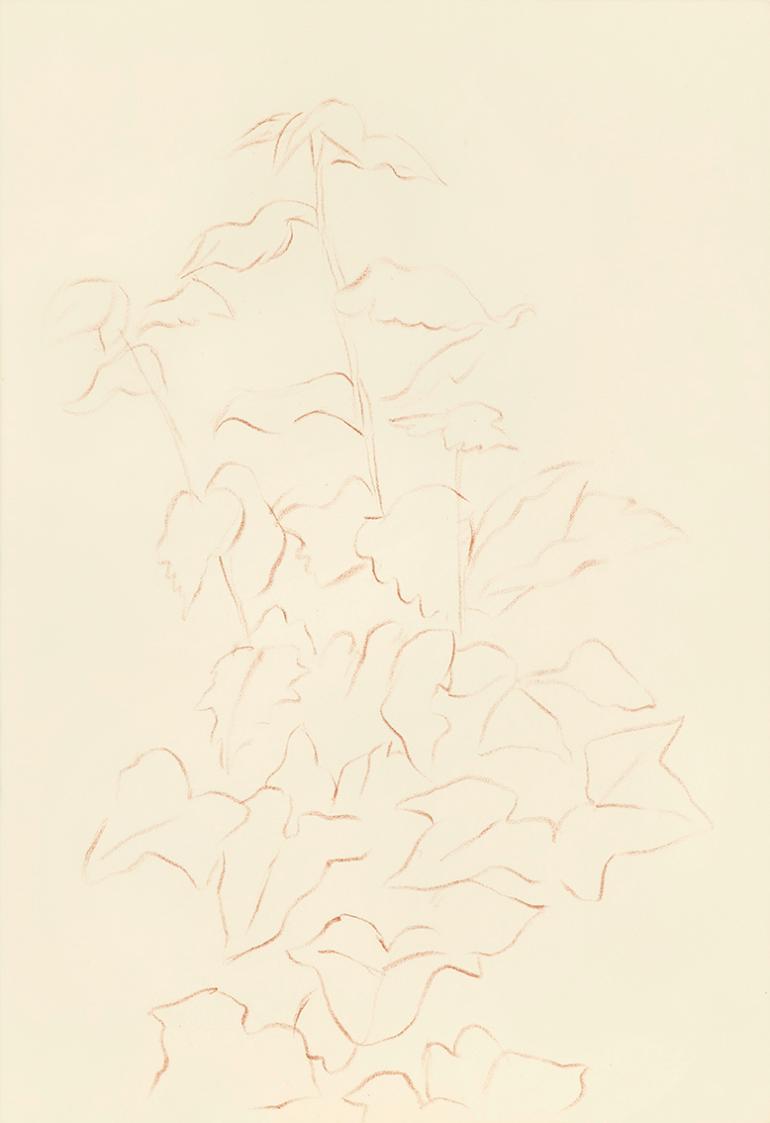 Alfred Wickenburg, Blätter einer Pflanze, 1942, Rötel auf Papier, Blattmaße: 29,9 × 20,7 cm, Le ...