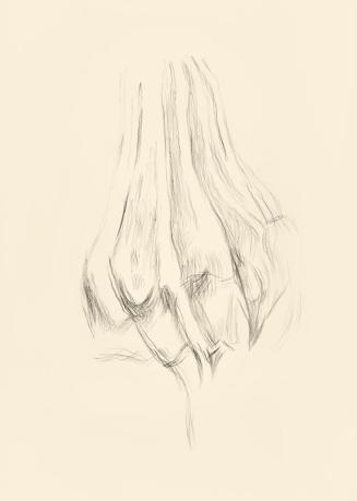 Alfred Wickenburg, Unvollendete Studie einer Knospe, 1945/1955, Bleistift auf Papier, Blattmaße ...