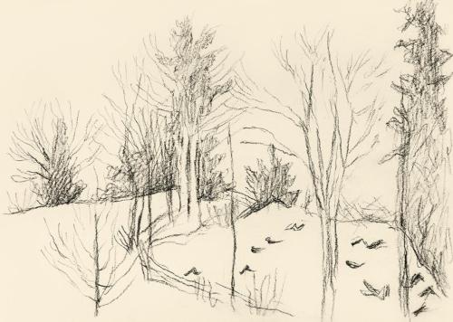 Alfred Wickenburg, Landschaft mit Bäumen, um 1950, Kohle auf Papier, Blattmaße: 21 × 29,7 cm, L ...