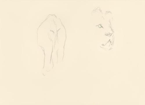 Alfred Wickenburg, Skizze eines Löwens von hinten und eines Löwenkopfs, 1939/1944, Graphit auf  ...