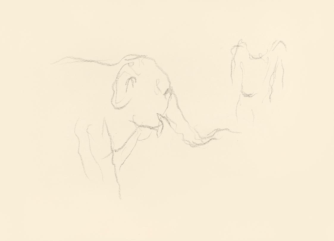 Alfred Wickenburg, Elefant im Profil, 1939/1944, Graphit auf Papier, Blattmaße: 21 × 29,5 cm, L ...