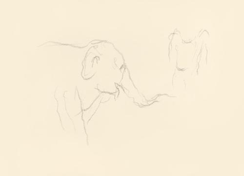 Alfred Wickenburg, Elefant im Profil, 1939/1944, Graphit auf Papier, Blattmaße: 21 × 29,5 cm, L ...