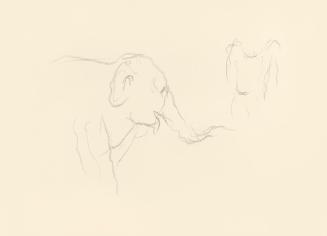 Alfred Wickenburg, Elefant im Profil, 1939/1944, Graphit auf Papier, Blattmaße: 21 × 29,5 cm, L ...