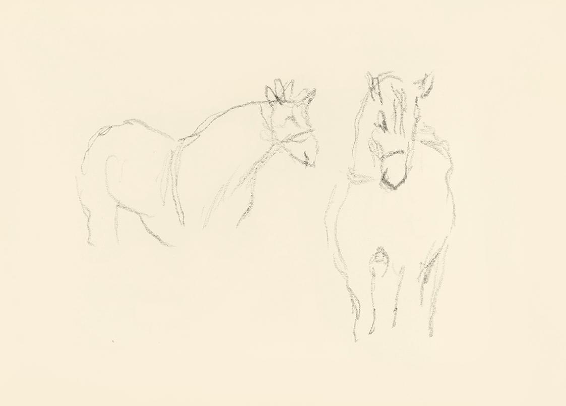 Alfred Wickenburg, Pferdeskizzen, 1939/1944, Graphit auf Papier, Blattmaße: 21 × 29,5 cm, Leihg ...