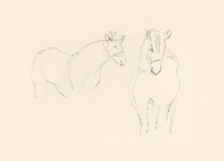 Alfred Wickenburg, Pferdeskizzen, 1939/1944, Graphit auf Papier, Blattmaße: 21 × 29,5 cm, Leihg ...