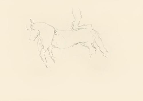 Alfred Wickenburg, Skizze eins Pferdes mit Akrobat, 1939/1944, Graphit auf Papier, Blattmaße: 2 ...