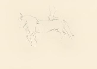Alfred Wickenburg, Skizze eins Pferdes mit Akrobat, 1939/1944, Graphit auf Papier, Blattmaße: 2 ...