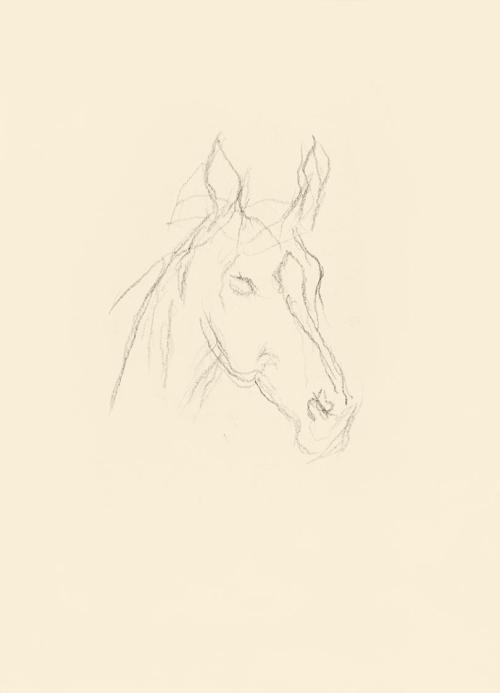 Alfred Wickenburg, Pferdekopf, 1939/1944, Graphit auf Papier, Blattmaße: 29,5 × 21 cm, Leihgabe ...